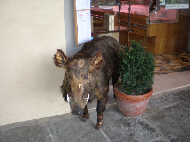 Greve in Chianti69.JPG